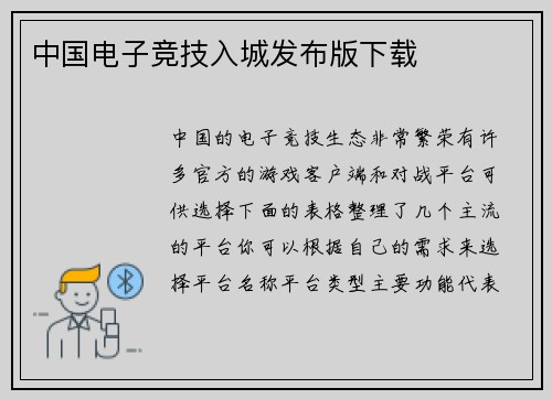 中国电子竞技入城发布版下载